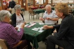 agm-bridge-4